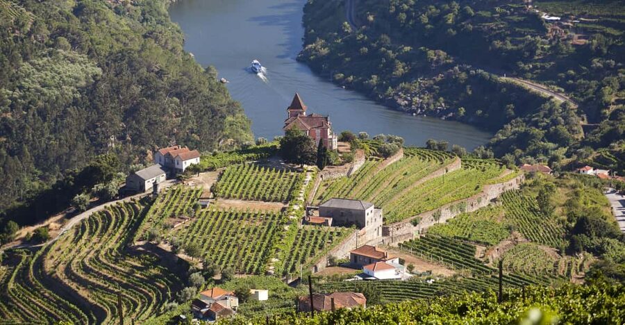 From Porto: Premium Douro Valley Small-Group Wine Tour - Why this Douro Valley day works so well