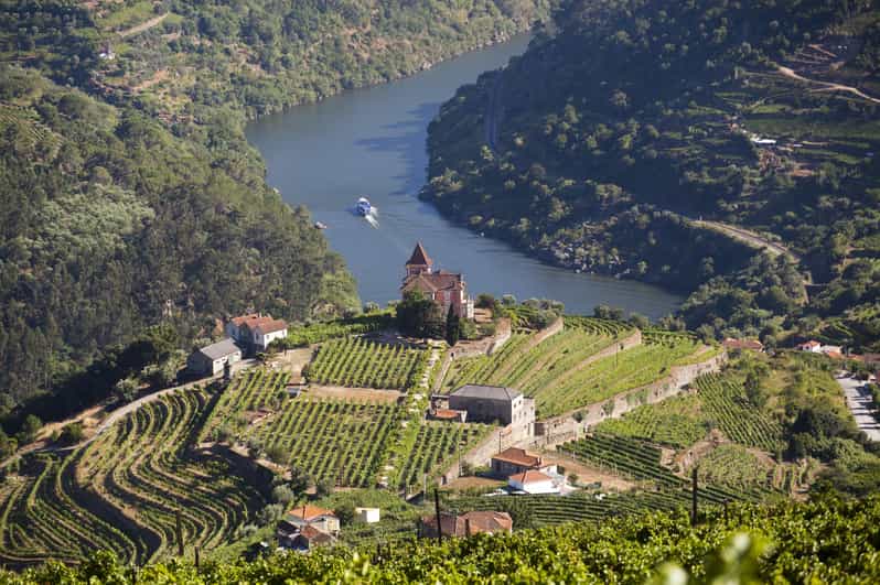 From Porto: Premium Douro Valley Small-Group Wine Tour - First winery: tasting wine with a view