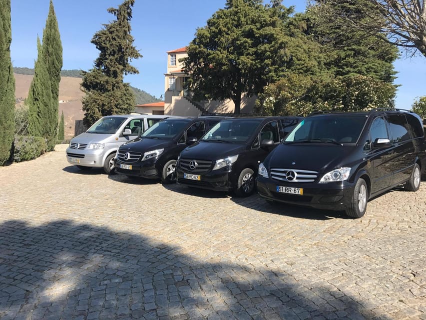 From Porto: Premium Douro Valley Small-Group Wine Tour - Timing, age rules, and who should book