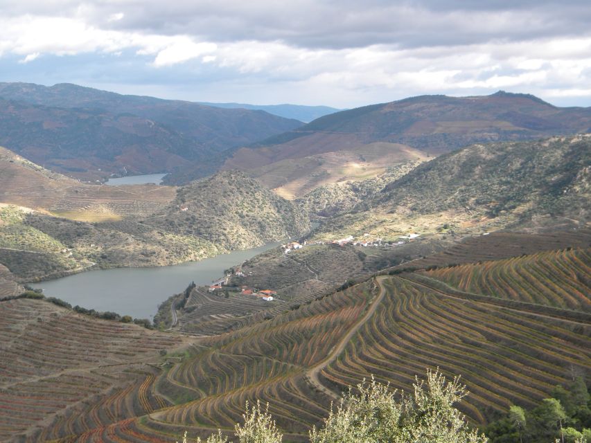 From Porto: Private Douro Valley Tour with Booking Service - Régua: food, wine, and a useful second stop