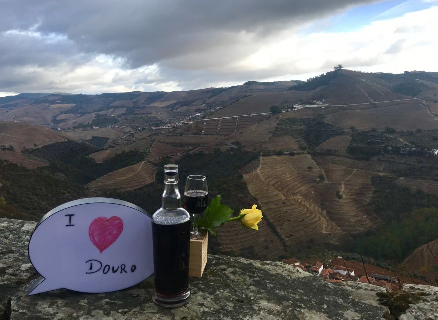 From Porto: Private Douro Valley Tour with Cruise and Wine - Practical value, comfort, and limitations