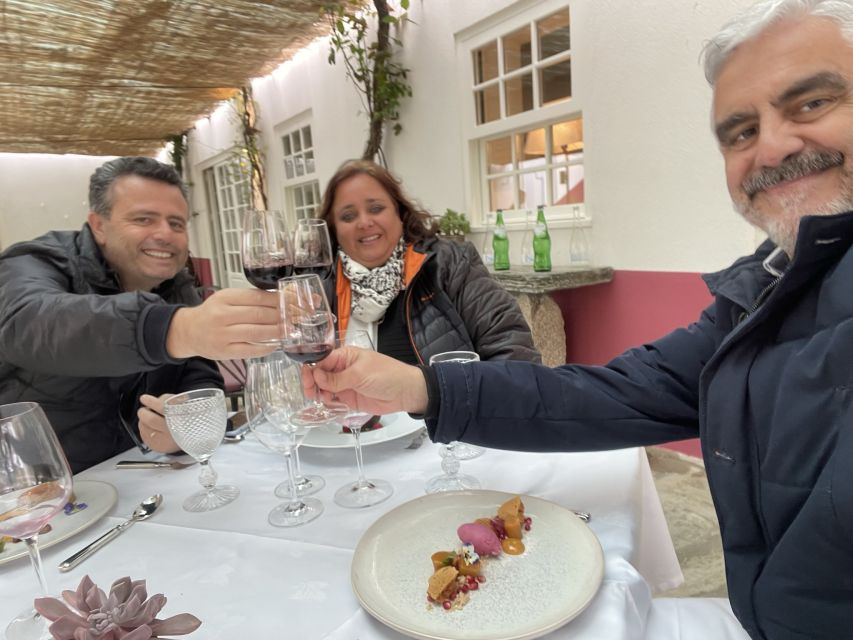 From Porto: Private Douro Valley Tour with Cruise and Wine - Vineyard terraces and the Douro Valley views