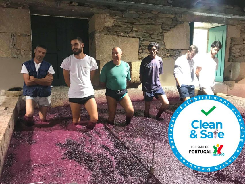 From Porto: Private Douro Valley Tour with Cruise and Wine - The first winery: a smaller, more personal stop