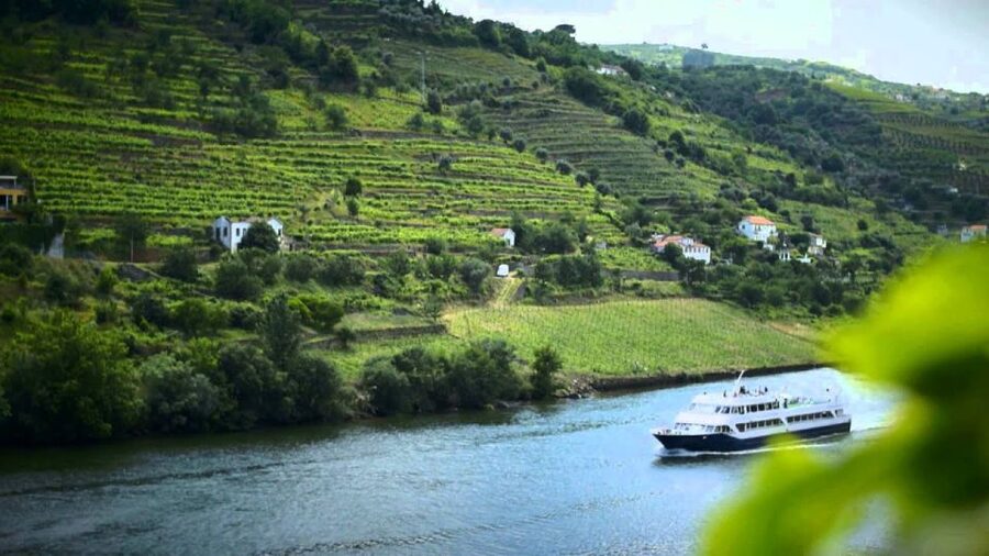 From Porto: Régua to Porto River Cruise with Lunch on Board - Six hours among the Douro vineyards