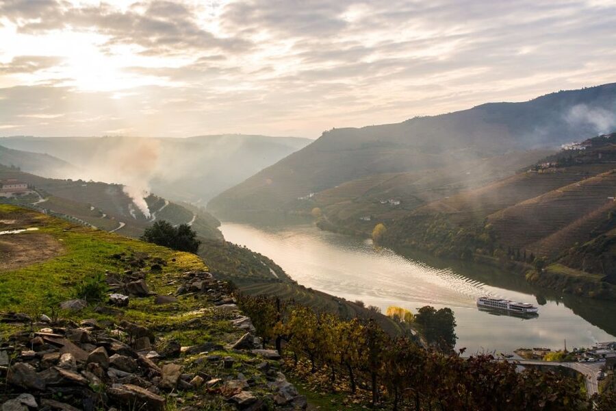 From Porto: Régua to Porto River Cruise with Lunch on Board - Crossing the Carrapatelo and Crestuma-Lever dams