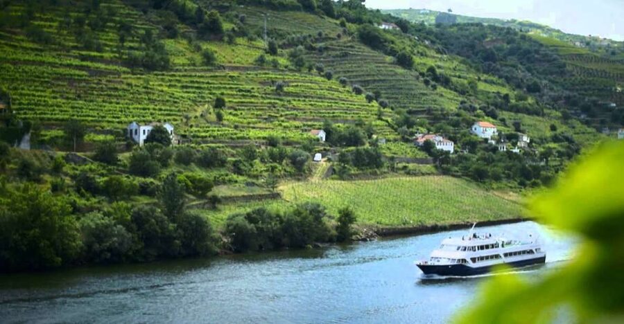 From Porto: Régua to Porto River Cruise with Lunch on Board - Arrival back in Porto