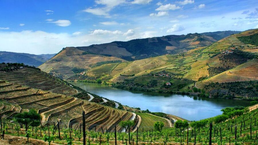 From Porto: Régua to Porto River Cruise with Lunch on Board - The morning bus from Porto to Régua