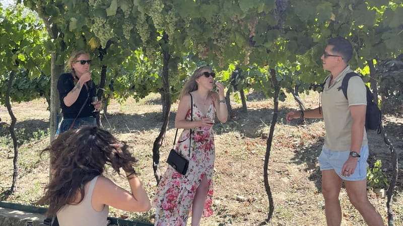 From Porto: Tastings at 2 Wineries, Chef's Lunch & Boat Tour - First winery: local wine, olive oil, and a lively visit