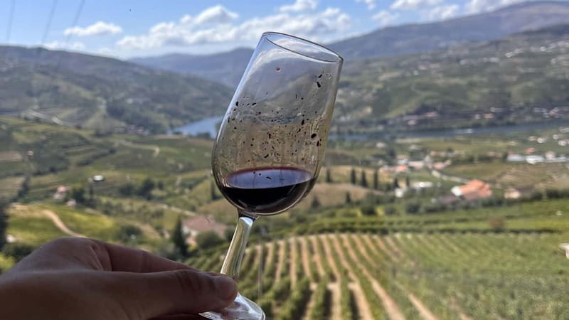 From Porto: Tastings at 2 Wineries, Chef's Lunch & Boat Tour - Is $153 a fair price?