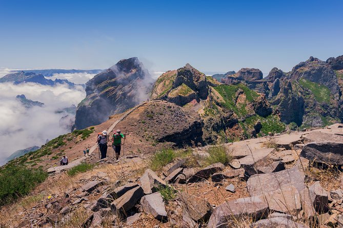 Full Day East of Madeira Tour - Guides, vehicle, and the pace of the day