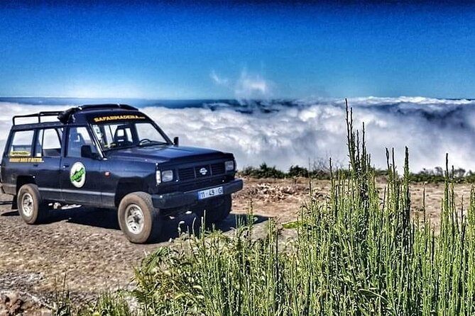Full Day Jeep Safari East - Pico do Areeiro - Santana - Ponta de são Lourenço - Why this jeep tour works for a short Madeira visit