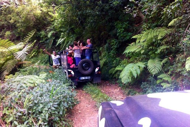 Full Day Jeep Safari East - Pico do Areeiro - Santana - Ponta de são Lourenço - Ponta do Rosto and the eastern tip