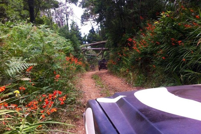 Full-Day Jeep Safari West: Fanal, Porto Moniz, Seixal, Cabo Girão - Why this jeep tour works well for seeing western Madeira
