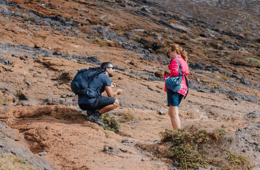 Full Day Ponta de São Lourenço - Natural Reserve - Who should book this Madeira hike?