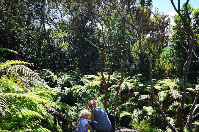Full-Day Private Tour of Faial - What the $149.78 price buys you