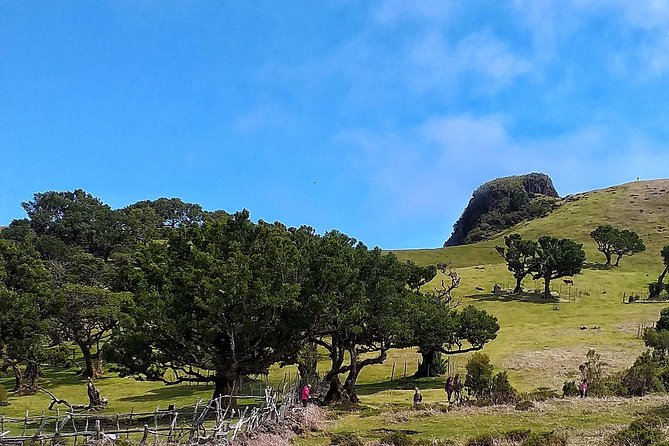 Full-Day Small Group Jeep Safari Tour from Funchal - The real value of $83.27