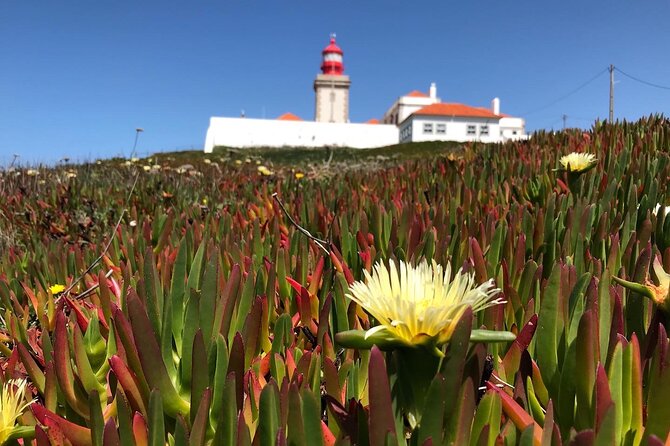 Full Day Tour: Sintra, Pena Palace, Cabo da Roca, Cascais - Who should book this Sintra and coast tour?