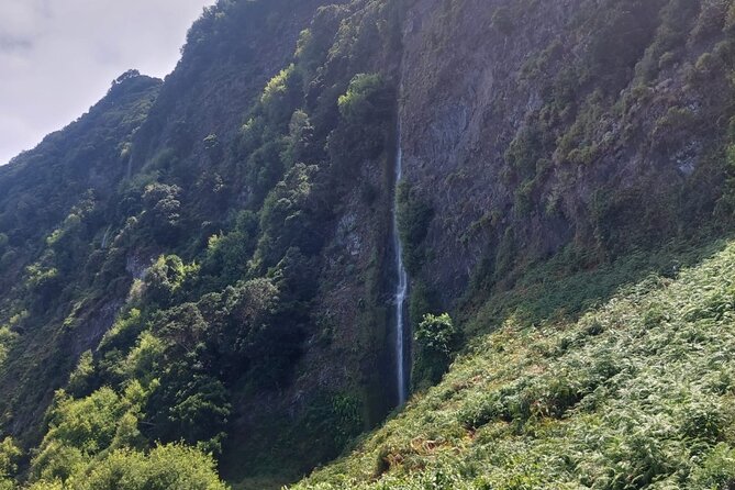 Full day West Adventure Jeep Tour in Madeira Portugal - Fanal Forest and its centuries-old trees