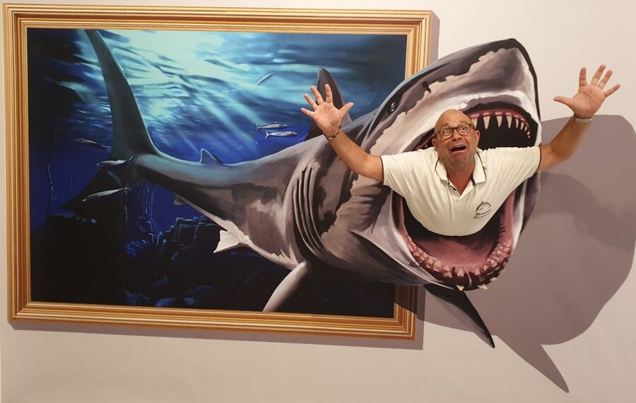 Funchal: 3D Fun Art Museum - What the Funchal 3D Fun Art Museum is really like