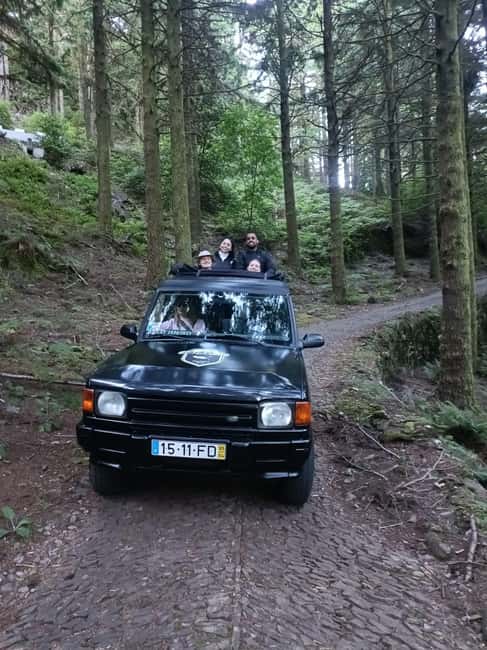 Funchal: 4WD Experience Skywalk to Seixal Porto Moniz, Fanal - Fanal Forest is the quiet heart of the route