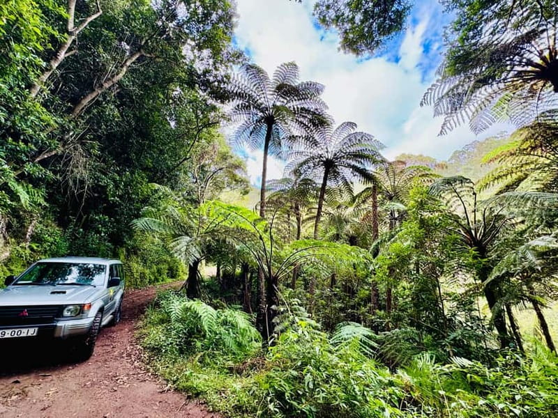 Funchal: 4x4 Jeep Trip to the East and Northeast of Madeira - Key points to know before booking