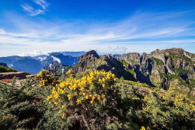 Funchal: 4x4 Jeep Trip to the East and Northeast of Madeira - Why this 4x4 day works well in Madeira