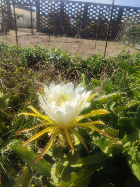 Funchal Agriculture Green Tour - Why the small group matters