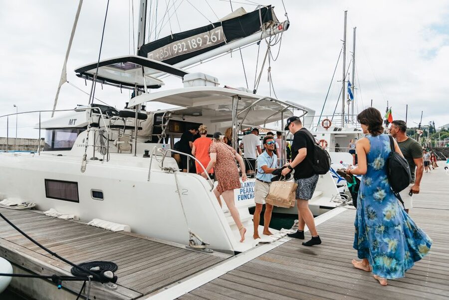 Funchal Bay: Dolphin & Whale Watch Luxury Catamaran Cruise - Searching for dolphins and whales