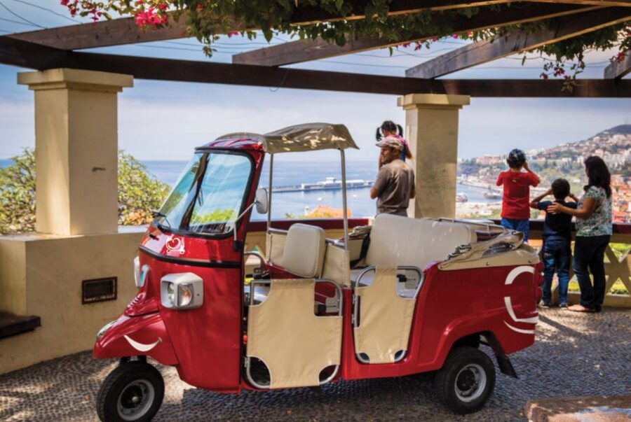 Funchal: Best Viewpoints Guided Tuk Tuk Tour - Starting in Funchal’s 16th-century Old Town