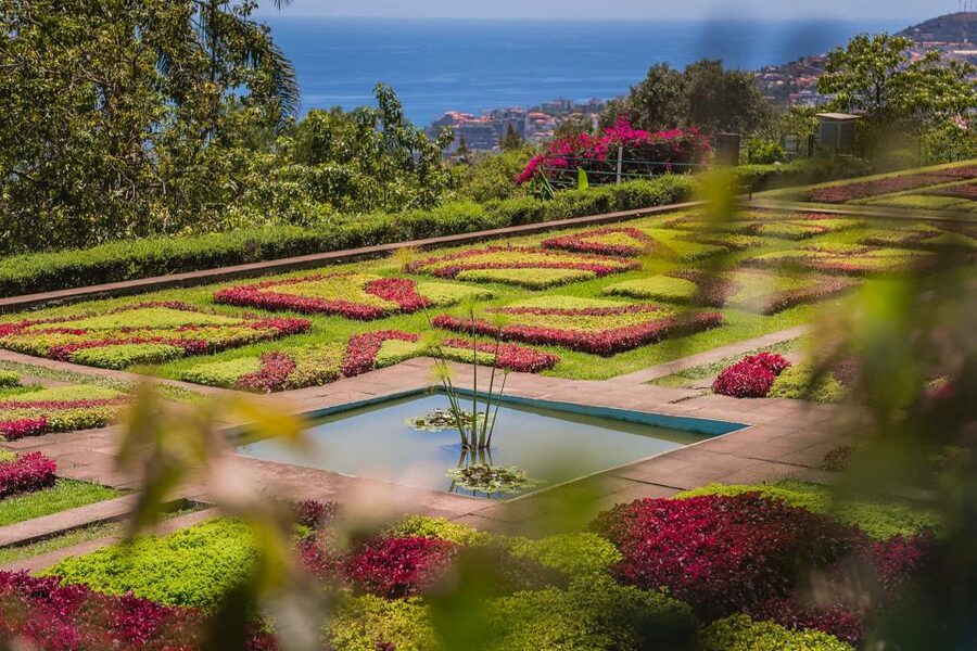 Funchal: Botanical Garden and Old Town Private Tuk-Tuk Tour - A lively way to get your bearings in Funchal