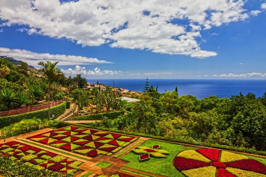 Funchal: Botanical Garden and Old Town Private Tuk-Tuk Tour - The climb toward Madeira Botanical Garden