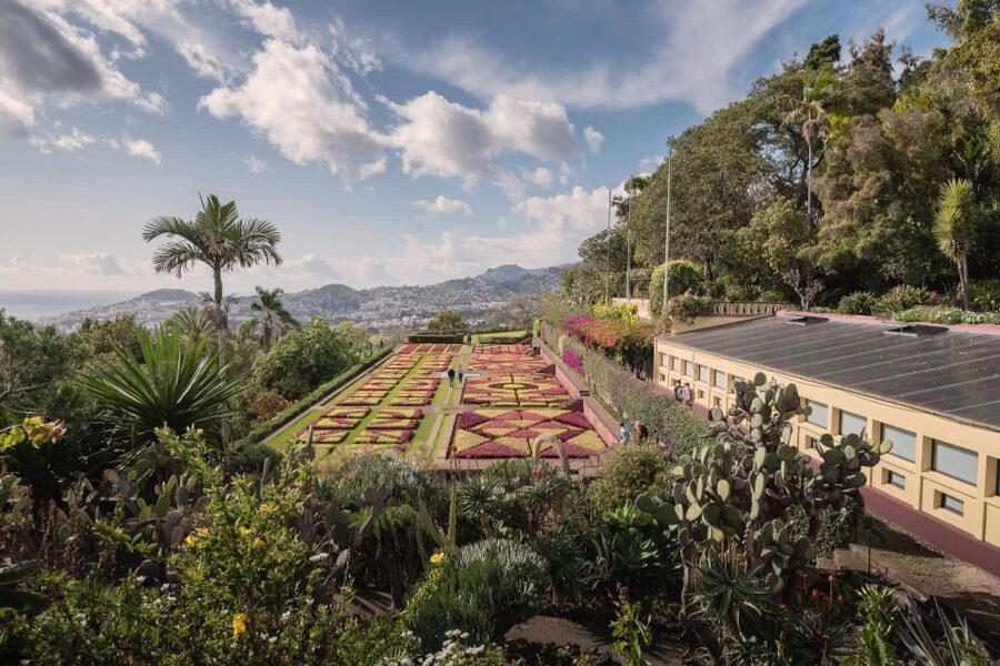 Funchal: Botanical Garden and Old Town Private Tuk-Tuk Tour - Practical tips for a smoother outing