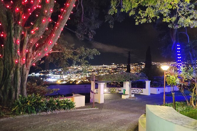 Funchal Christmas lights sightseeing night tour - Timing, traffic, and the 1 hour 15 minute schedule