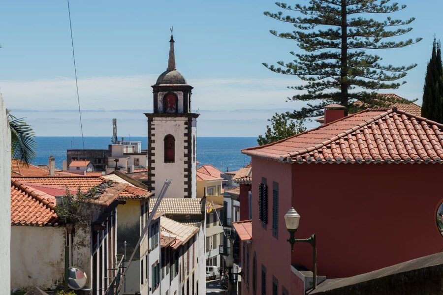 Funchal: City Highlights Tuk-Tuk Tour - The Farmers’ Market: color, produce, and a possible drink stop