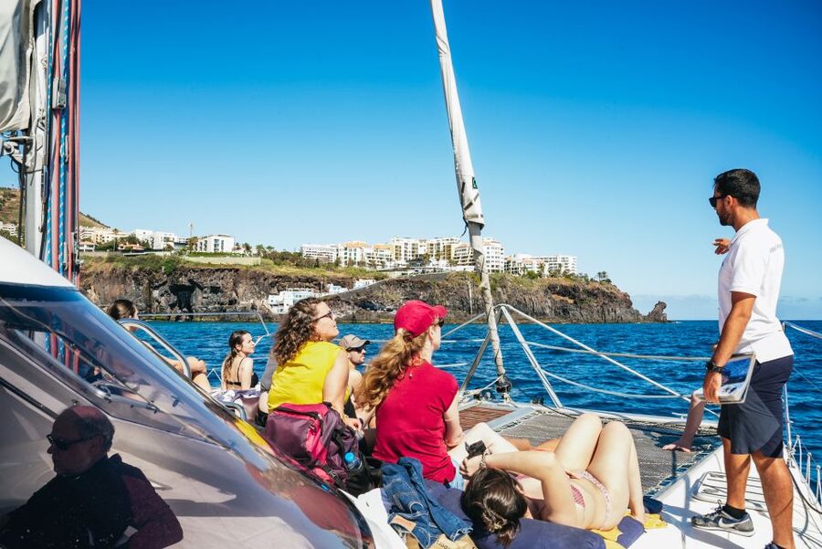 Funchal: Dolphin and Whale Watching by Luxury Catamaran - Who will enjoy this Madeira boat trip?