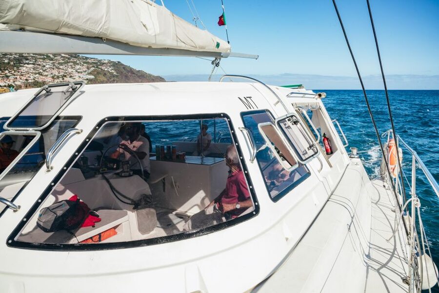 Funchal: Dolphin and Whale Watching by Luxury Catamaran - Starting at Pier 8 in Funchal