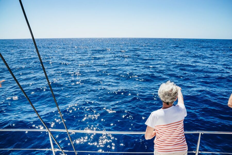 Funchal: Dolphin and Whale Watching by Luxury Catamaran - Sailing out from Funchal Bay