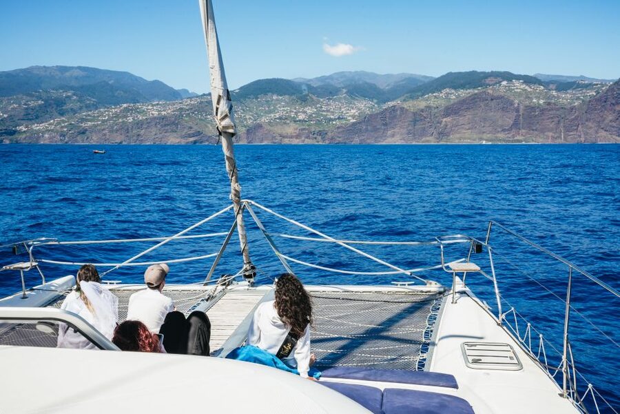 Funchal: Dolphin and Whale Watching by Luxury Catamaran - What the crew adds to the experience