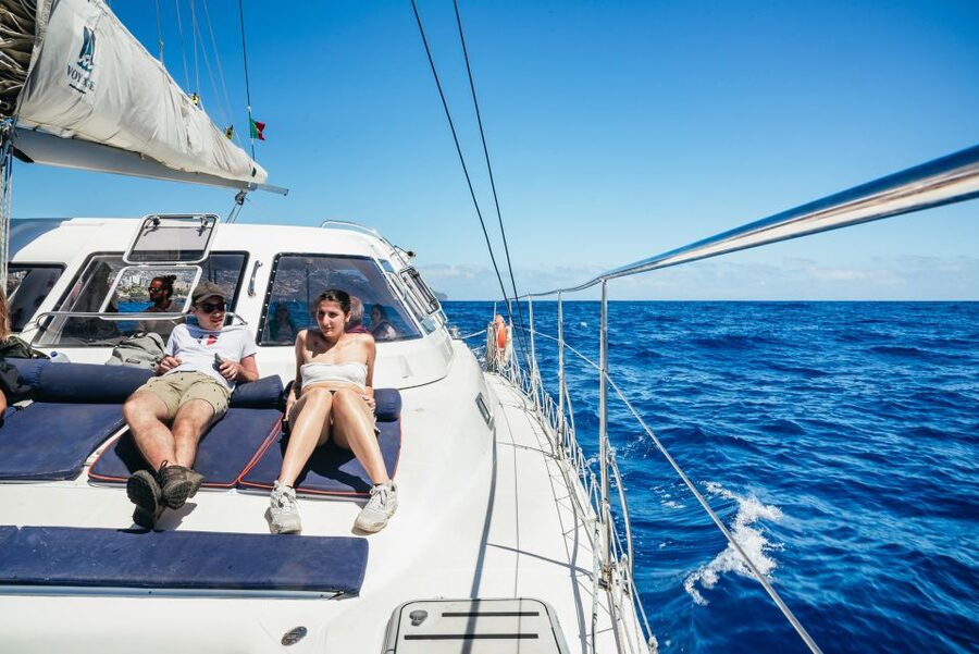 Funchal: Dolphin and Whale Watching by Luxury Catamaran - Returning along Madeira’s coast