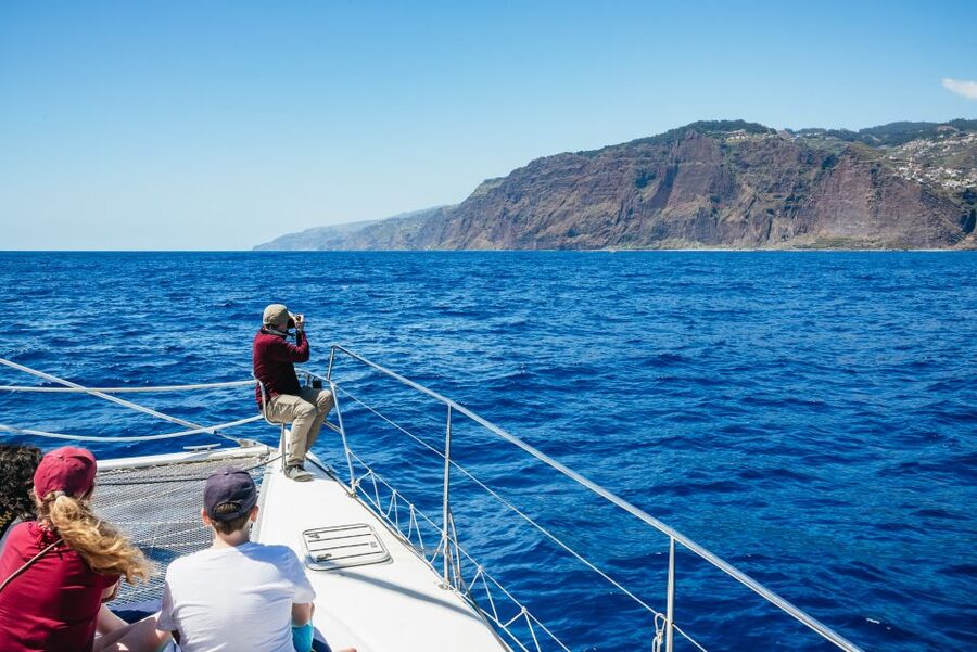 Funchal: Dolphin and Whale Watching by Luxury Catamaran - The practical details that matter
