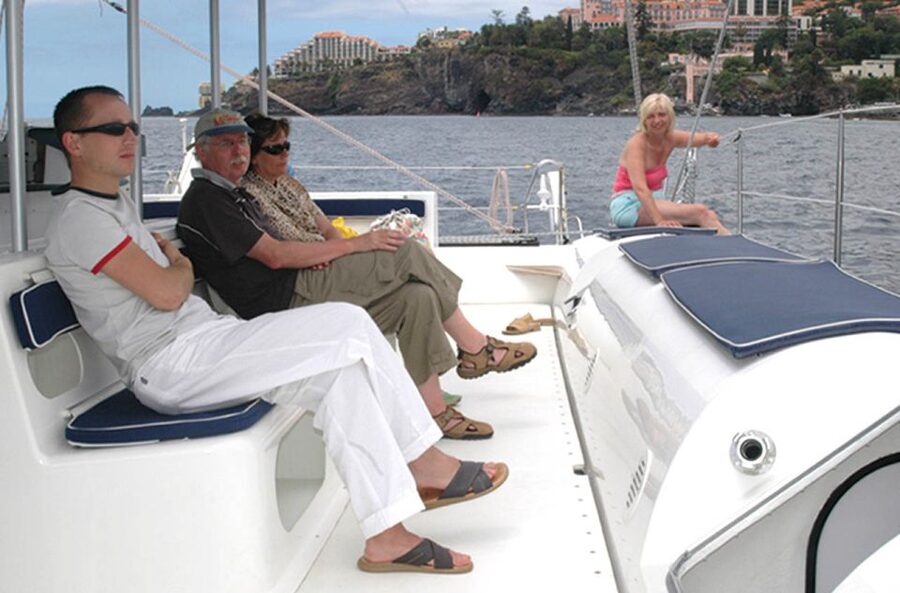 Funchal: Dolphin and Whale Watching Catamaran Cruise - Key points to know before you go