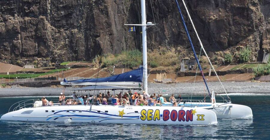 Funchal: Dolphin and Whale Watching Catamaran Cruise - When to go, and how weather changes the experience