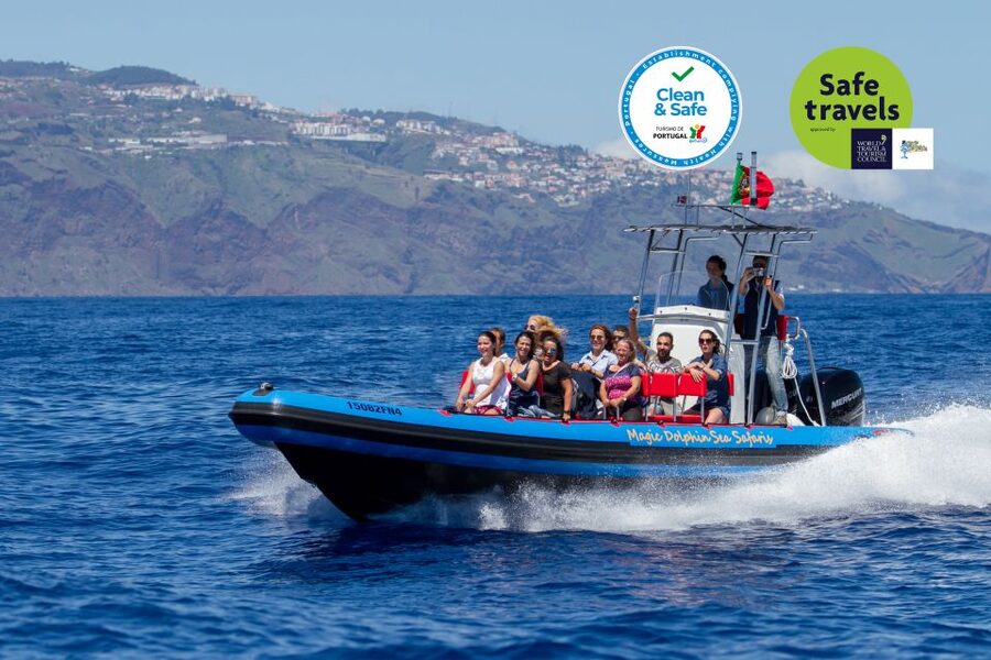 Funchal: Dolphin and Whale Watching Cruise - Leaving Funchal for Madeira’s open water