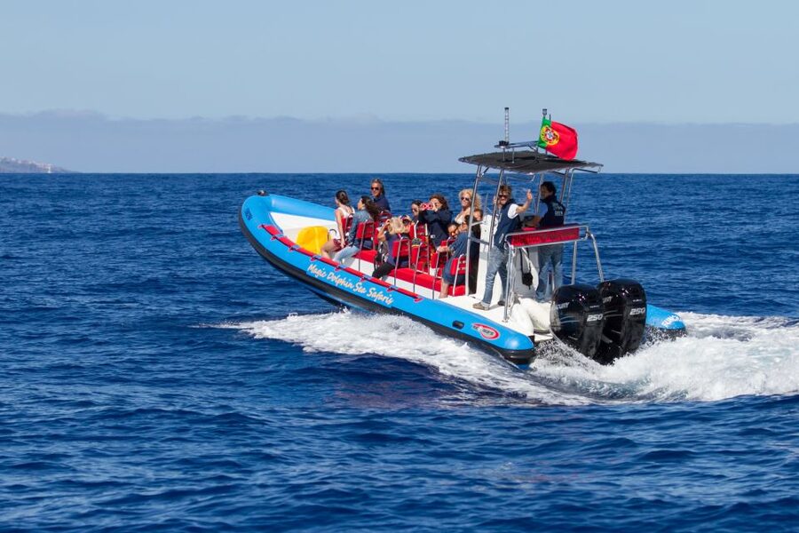 Funchal: Dolphin and Whale Watching Cruise - The guide makes the difference