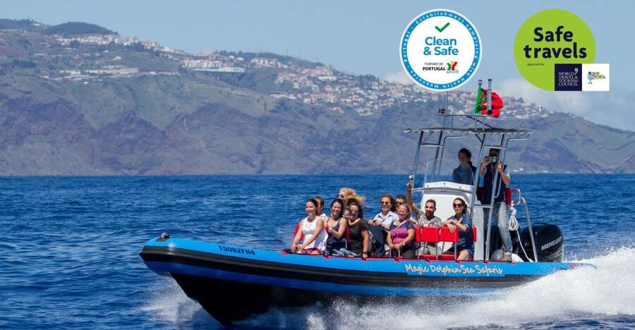 Funchal: Dolphin and Whale Watching Cruise - How the wildlife search works
