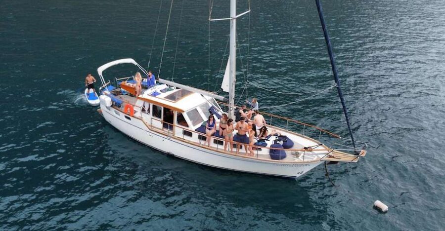 Funchal: Dolphin and Whale Watching Sailing Trip - Key points to know before you book