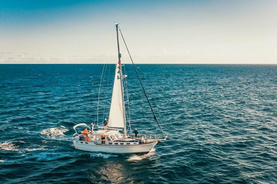 Funchal: Dolphin and Whale Watching Sailing Trip - Should you book the Gaviao Madeira sailing trip?