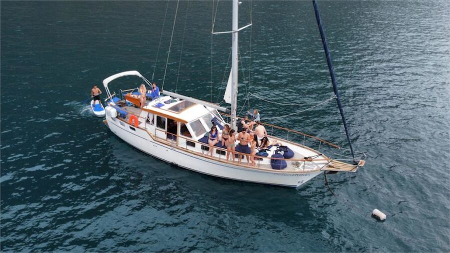 Funchal: Dolphin and Whale Watching Sailing Trip - Searching for dolphins and whales offshore