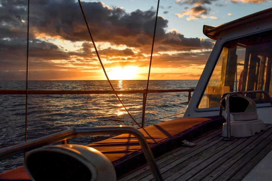 Funchal: Dolphin and Whale Watching Sunset Sailing Tour - Cabo Girão and the swimming stop