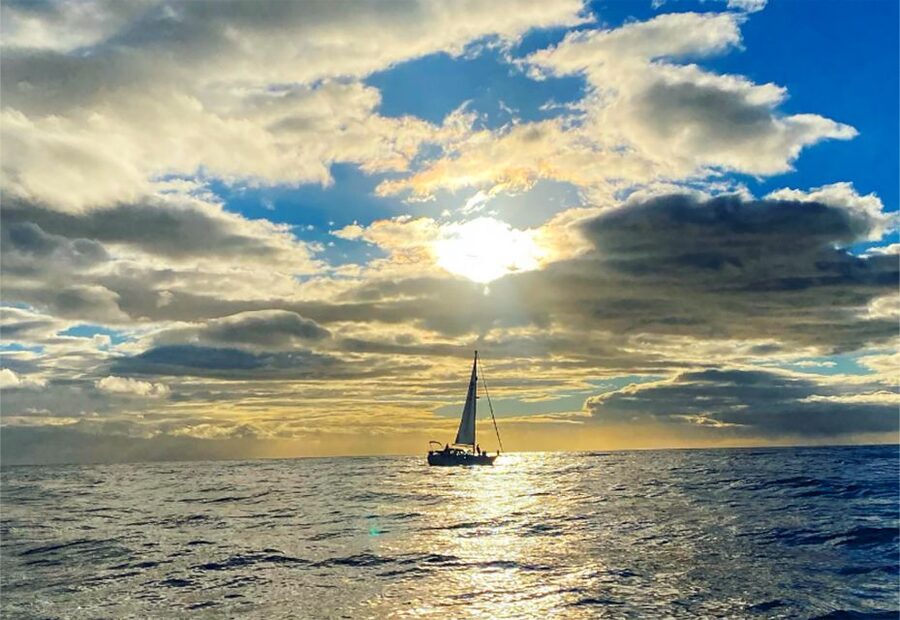 Funchal: Dolphin and Whale Watching Sunset Sailing Tour - Sunset on the return to Funchal